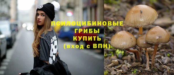 дживик Медвежьегорск