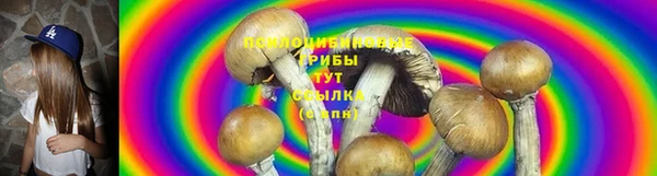 амф Медногорск