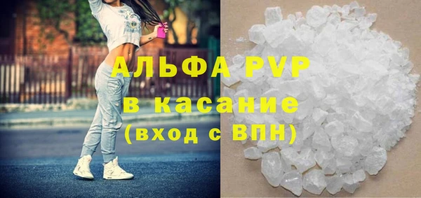 мяу мяу мука Михайлов
