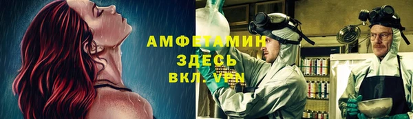 мяу мяу мука Михайлов